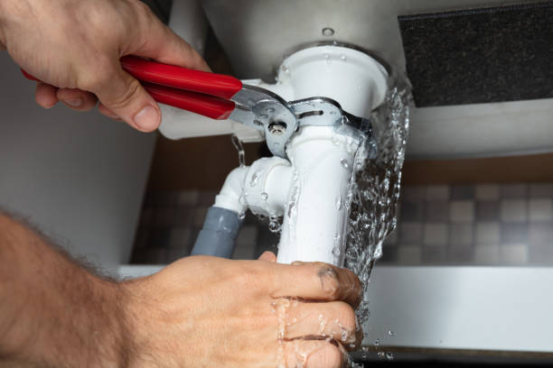 Best Local water damage restoration  in Paris, IL