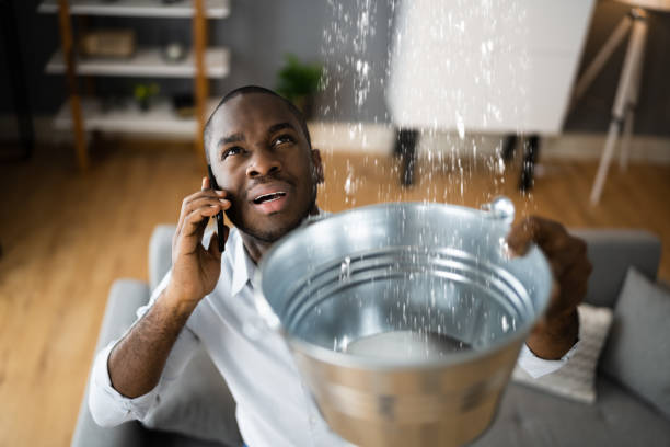 Best Flood restoration services  in Paris, IL
