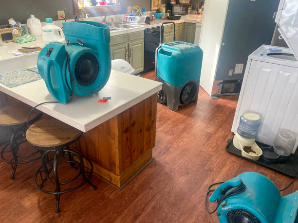 Best Emergency water damage restoration  in Paris, IL