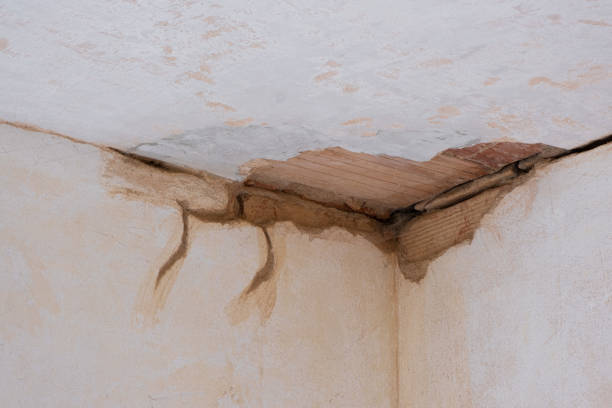 Best Water damage restoration near me  in Paris, IL