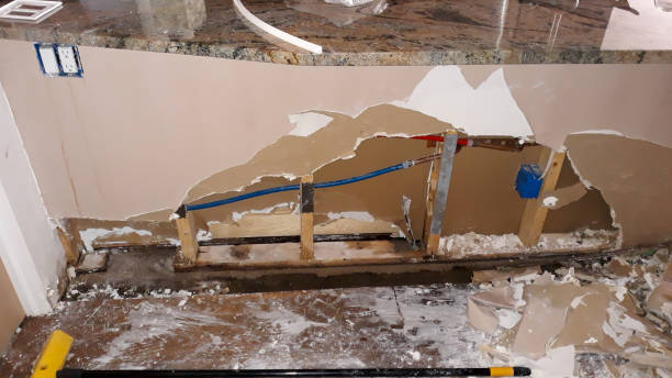 Best Water damage cleanup near me  in Paris, IL