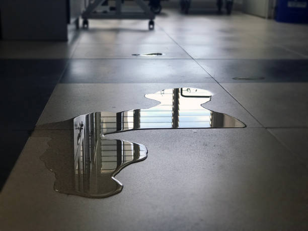  Paris, IL Water damage restoration Pros
