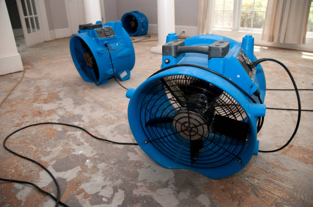 Best 24-hour water damage restoration  in Paris, IL