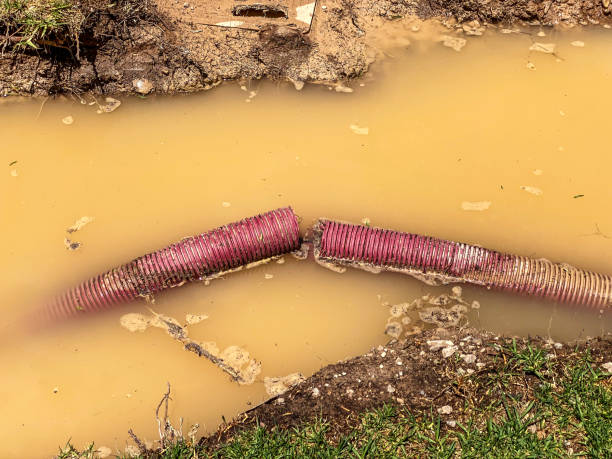 Paris, IL Water damage restoration Company
