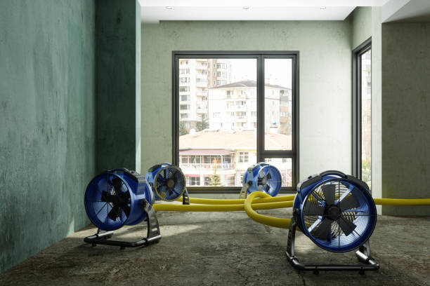 Best Water damage restoration near me  in Paris, IL