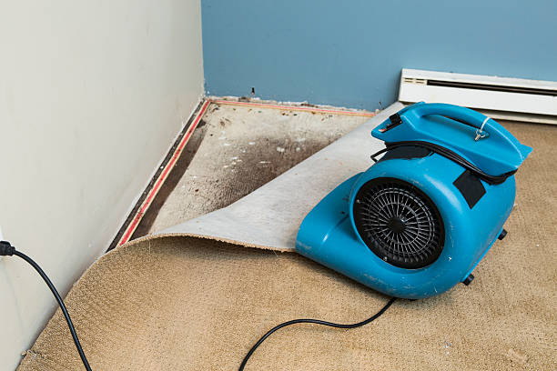 Best Sewage cleanup and water damage restoration  in Paris, IL